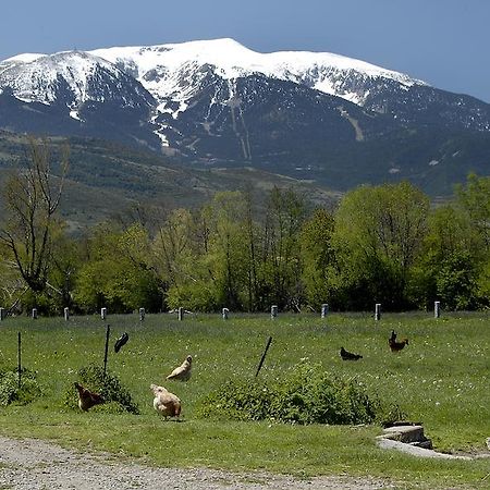 Mas Mallol Puigcerda Exterior photo